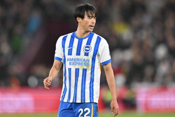 仅让人们看 仅让人们看