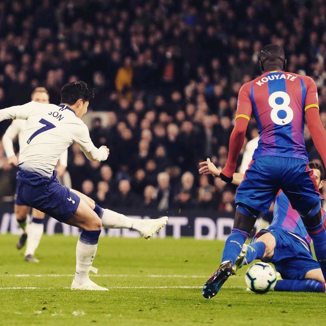 尼为何选择 尼为何选择